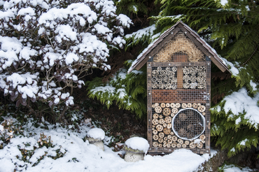 Nine ways to make your garden wildlife-friendly this winter