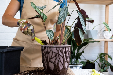 Embracing Cosiness: Bring Warm Autumn Colour Indoors