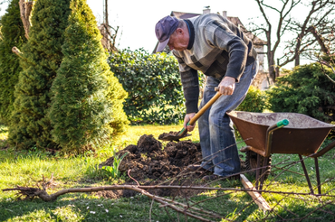 gardener digging in the garden