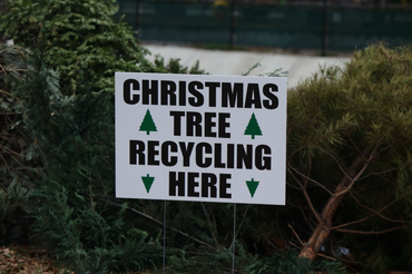 sign indicates designated drop-off point for people to bring their used Christmas tree